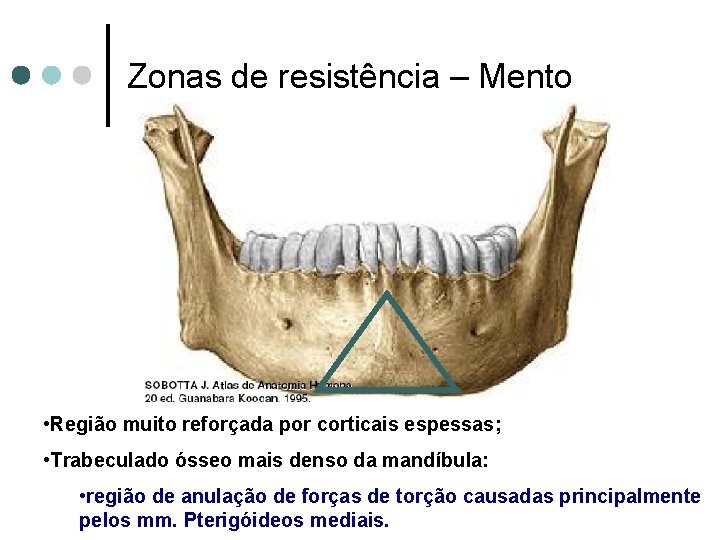 Zonas de resistência – Mento • Região muito reforçada por corticais espessas; • Trabeculado