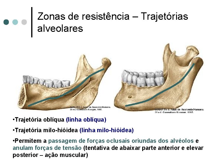 Zonas de resistência – Trajetórias alveolares • Trajetória oblíqua (linha oblíqua) • Trajetória milo-hióidea