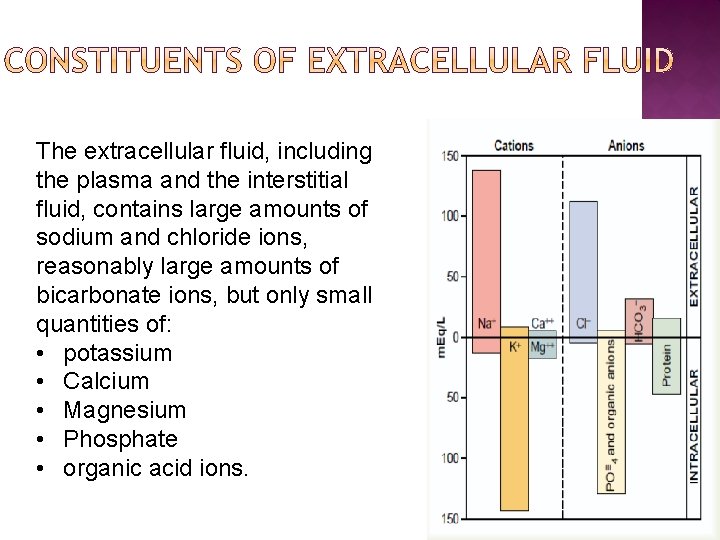 The extracellular fluid, including the plasma and the interstitial fluid, contains large amounts of