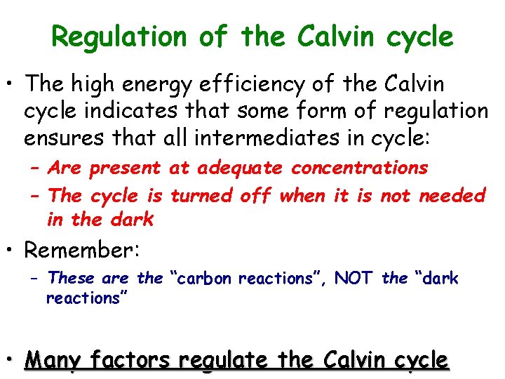 Regulation of the Calvin cycle • The high energy efficiency of the Calvin cycle