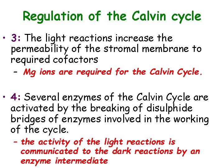 Regulation of the Calvin cycle • 3: The light reactions increase the permeability of