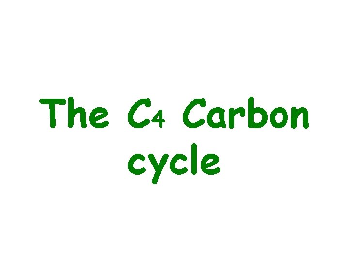 The C 4 Carbon cycle 