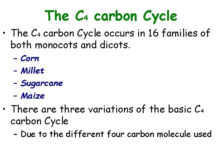 The C 4 carbon Cycle • The C 4 carbon Cycle occurs in 16