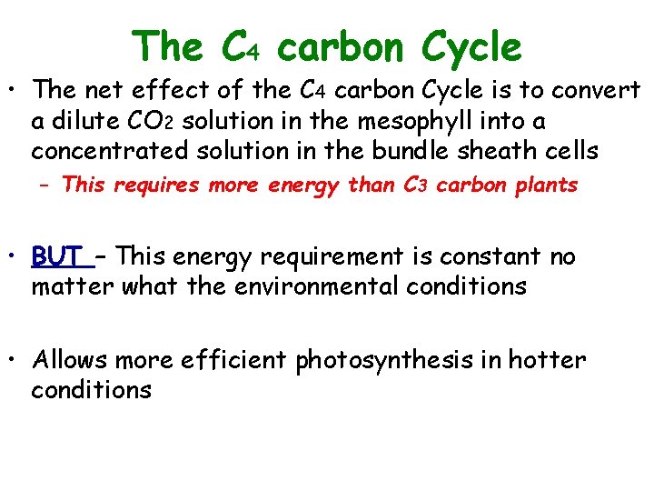 The C 4 carbon Cycle • The net effect of the C 4 carbon