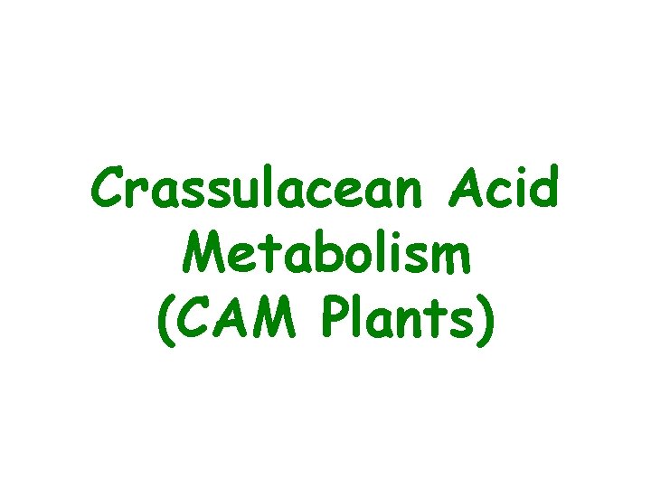 Crassulacean Acid Metabolism (CAM Plants) 