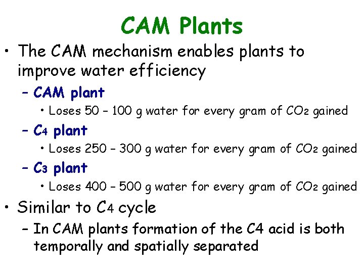 CAM Plants • The CAM mechanism enables plants to improve water efficiency – CAM
