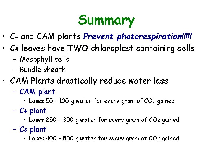 Summary • C 4 and CAM plants Prevent photorespiration!!!!! • C 4 leaves have