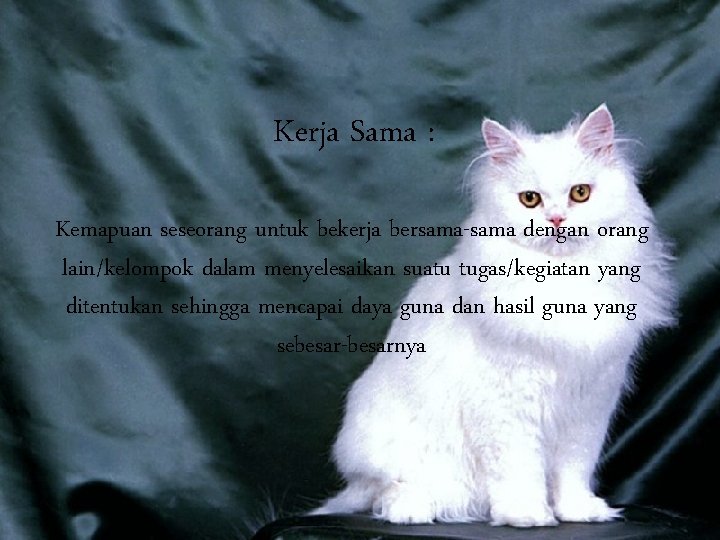 Kerja Sama : Kemapuan seseorang untuk bekerja bersama-sama dengan orang lain/kelompok dalam menyelesaikan suatu