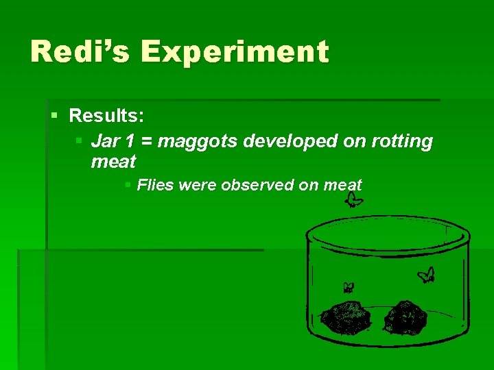 Redi’s Experiment § Results: § Jar 1 = maggots developed on rotting meat §