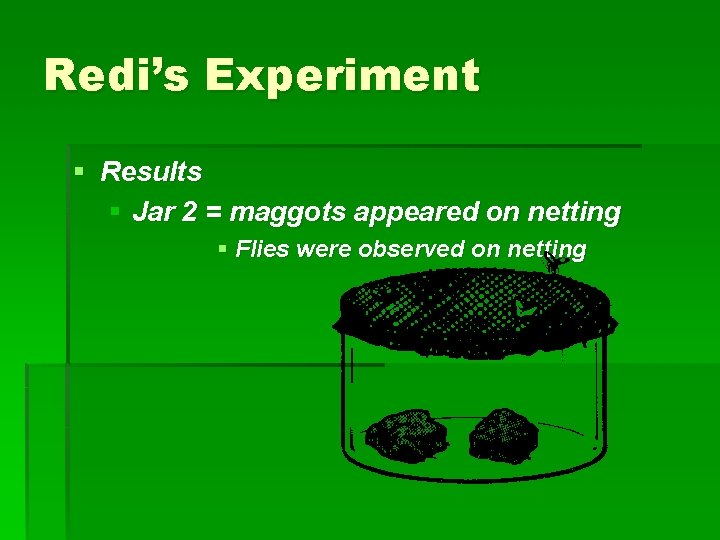 Redi’s Experiment § Results § Jar 2 = maggots appeared on netting § Flies