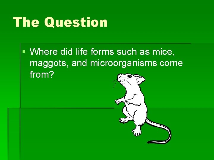 The Question § Where did life forms such as mice, maggots, and microorganisms come