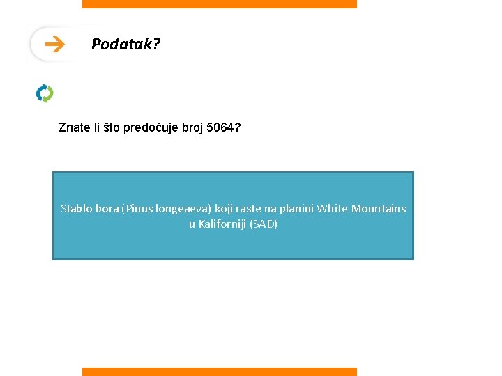 Podatak? Znate li što predočuje broj 5064? Stablo bora (Pinus longeaeva) koji raste na