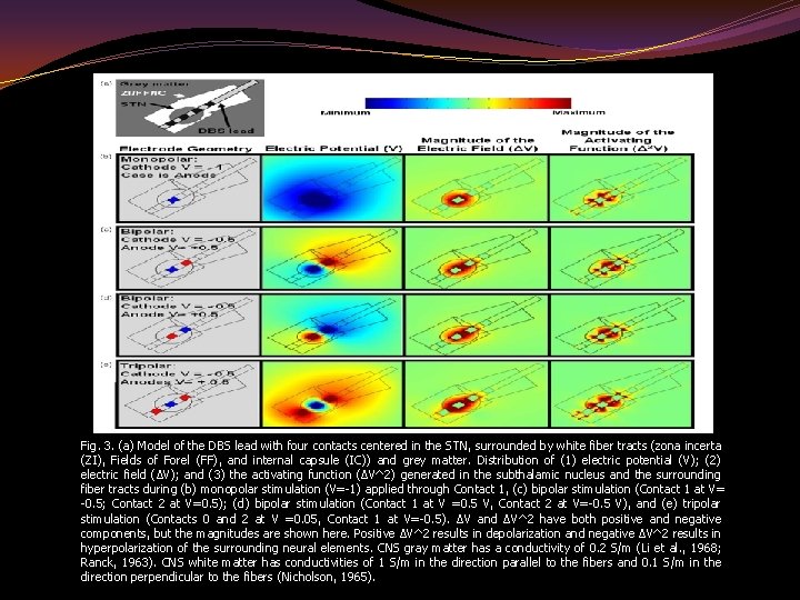 Fig. 3. (a) Model of the DBS lead with four contacts centered in the