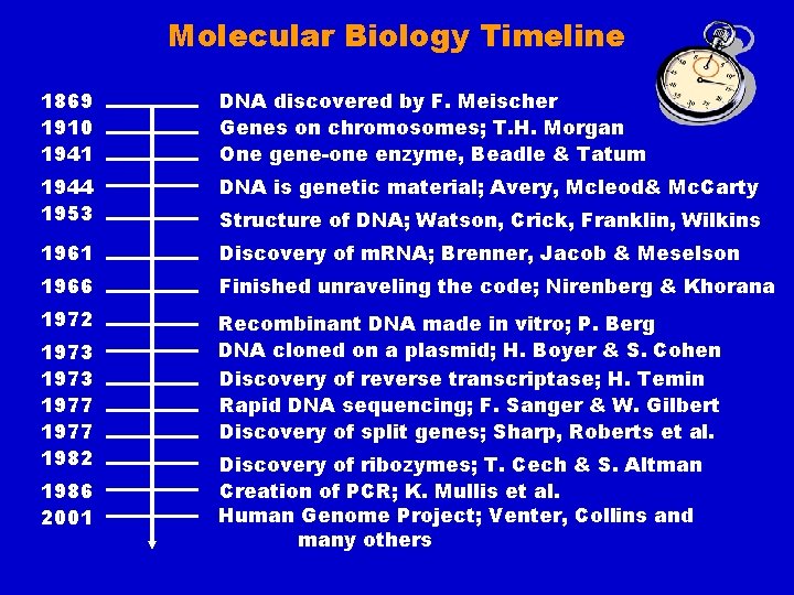 Molecular Biology Timeline 1869 1910 1941 DNA discovered by F. Meischer Genes on chromosomes;