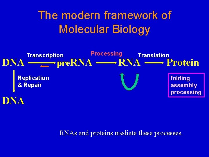 The modern framework of Molecular Biology DNA Transcription Replication & Repair DNA Processing pre.