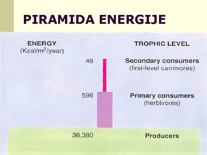 PIRAMIDA ENERGIJE 