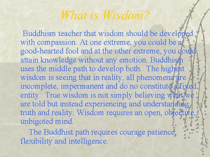 What is Wisdom? Buddhism teacher that wisdom should be developed with compassion. At one