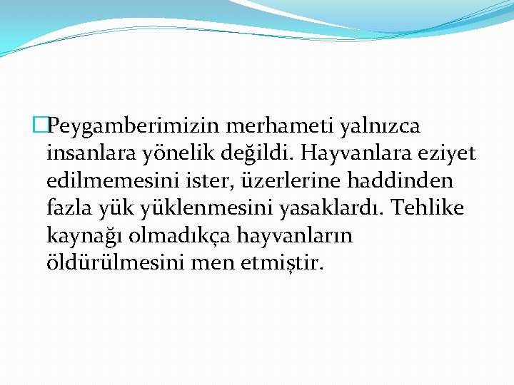 �Peygamberimizin merhameti yalnızca insanlara yönelik değildi. Hayvanlara eziyet edilmemesini ister, üzerlerine haddinden fazla yüklenmesini