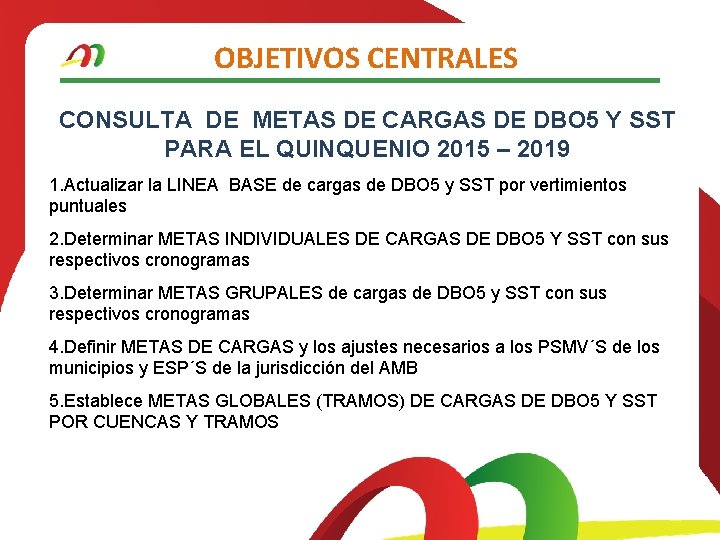 OBJETIVOS CENTRALES CONSULTA DE METAS DE CARGAS DE DBO 5 Y SST PARA EL
