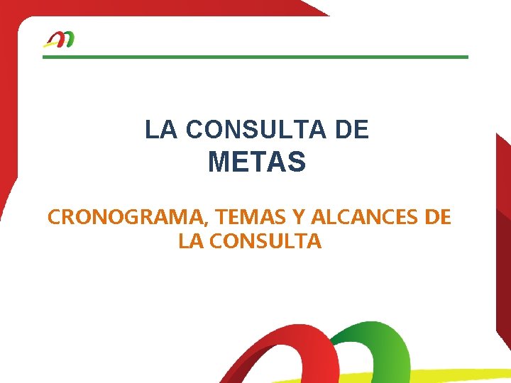 LA CONSULTA DE METAS CRONOGRAMA, TEMAS Y ALCANCES DE LA CONSULTA 