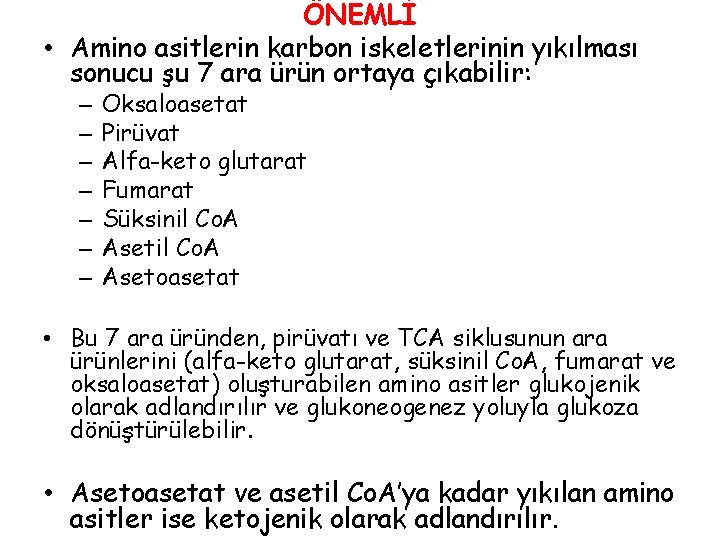 ÖNEMLİ • Amino asitlerin karbon iskeletlerinin yıkılması sonucu şu 7 ara ürün ortaya çıkabilir: