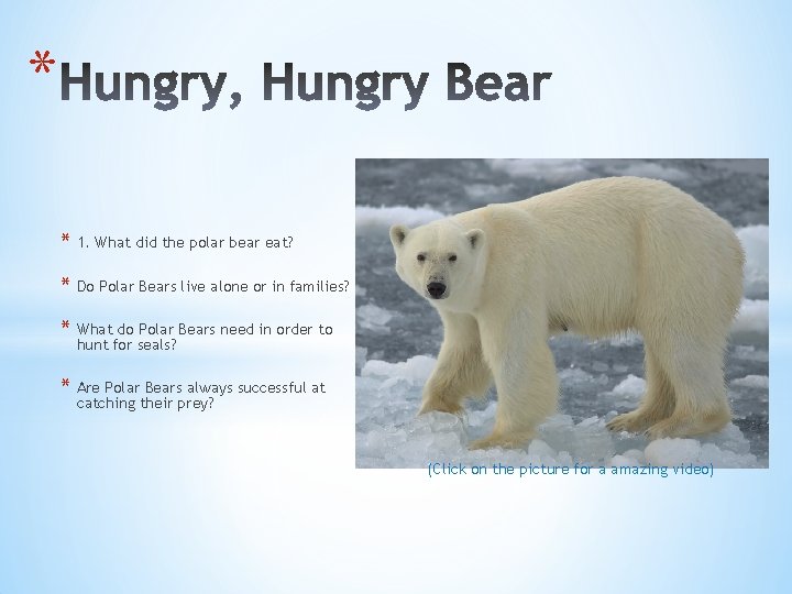 * * 1. What did the polar bear eat? * Do Polar Bears live