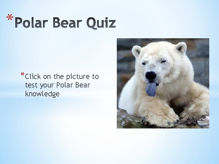 * *Click on the picture to test your Polar Bear knowledge 