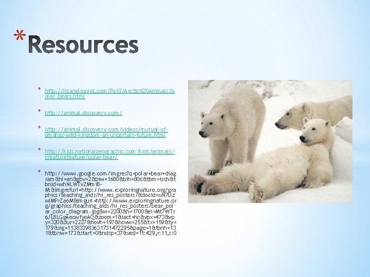 * * http: //lisanelsonnd. com/Per 2/Arctic%20 Animals/p olar_bears. html * http: //animal. discovery. com/videos/mutual-ofomahas-wild-kingdom-an-uncertain-future.