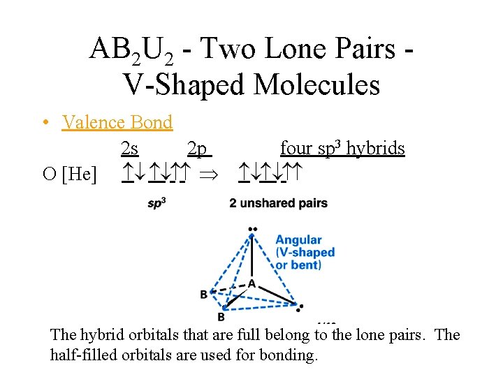AB 2 U 2 - Two Lone Pairs V-Shaped Molecules • Valence Bond 2