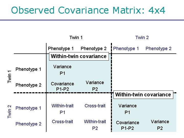 Observed Covariance Matrix: 4 x 4 Twin 1 Phenotype 1 Twin 2 Phenotype 1