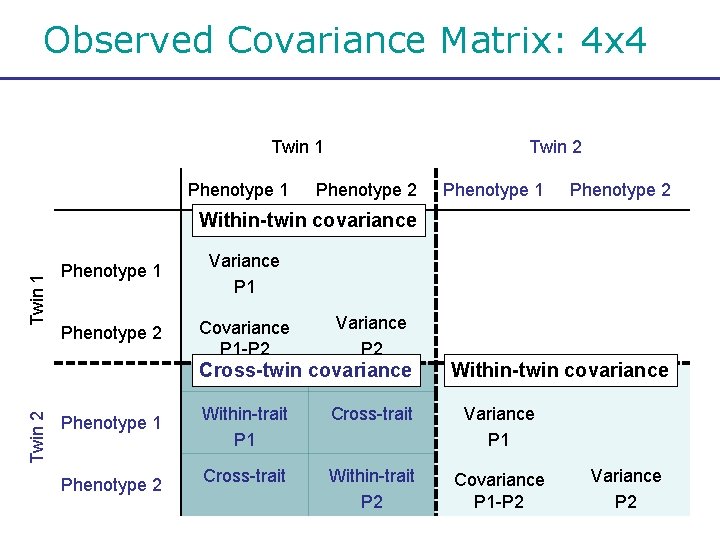 Observed Covariance Matrix: 4 x 4 Twin 1 Phenotype 1 Twin 2 Phenotype 1