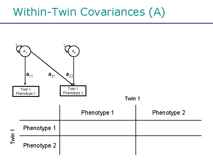 Within-Twin Covariances (A) 1 1 A 1 a 11 A 2 a 21 Twin