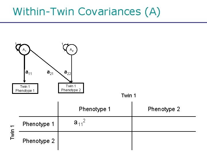 Within-Twin Covariances (A) 1 1 A 1 a 11 A 2 a 21 Twin