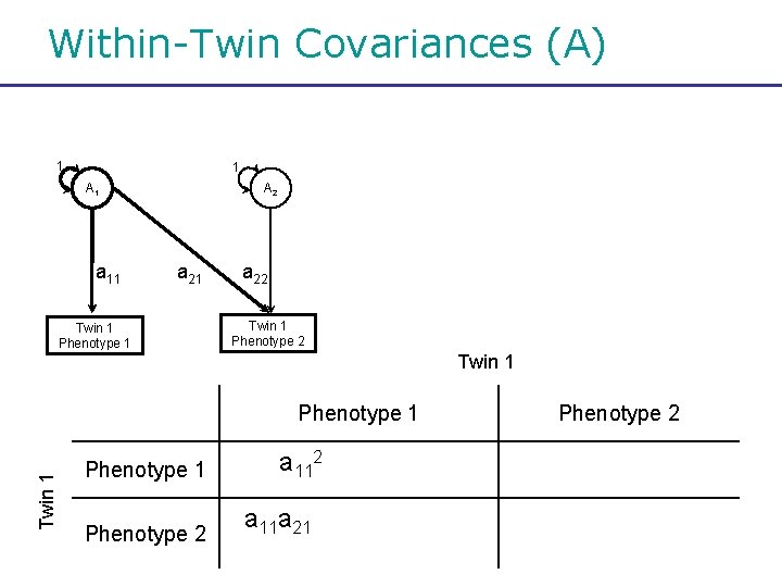 Within-Twin Covariances (A) 1 1 A 1 a 11 A 2 a 21 Twin