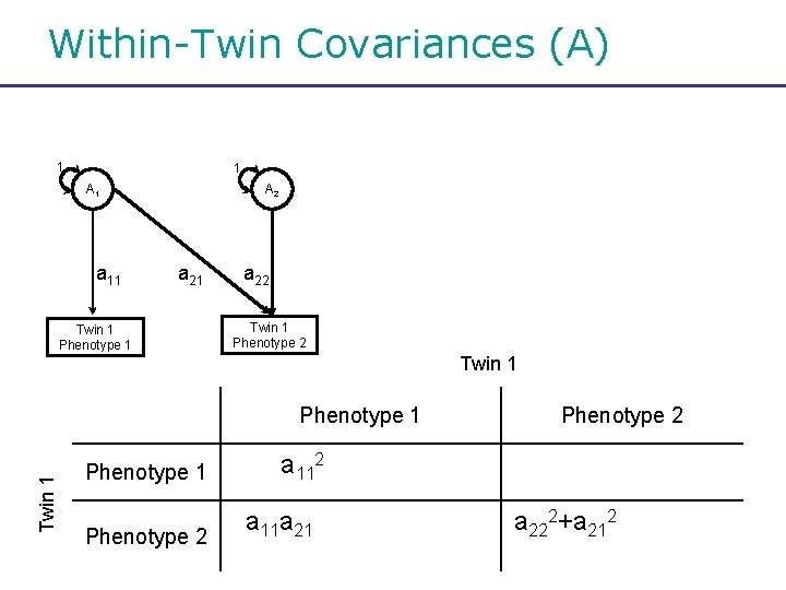 Within-Twin Covariances (A) 1 1 A 1 a 11 A 2 a 21 Twin