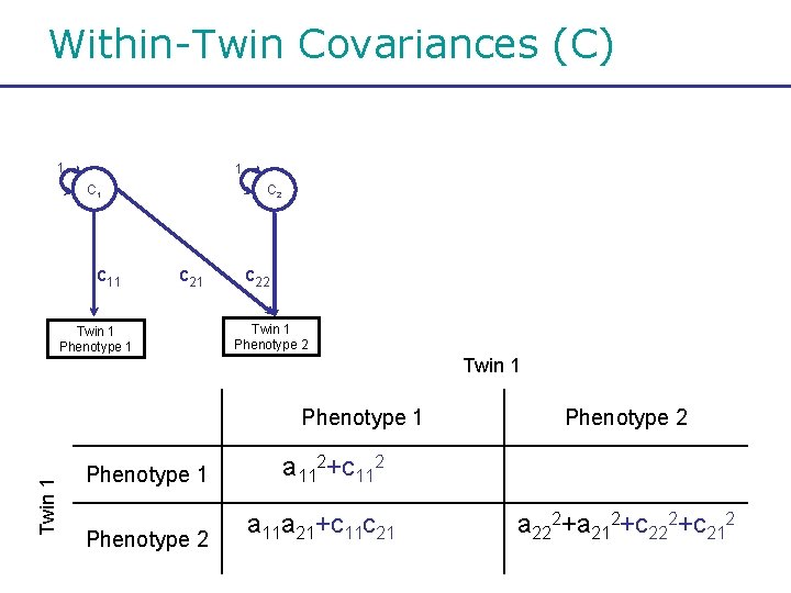 Within-Twin Covariances (C) 1 1 C 1 c 11 C 2 c 21 Twin