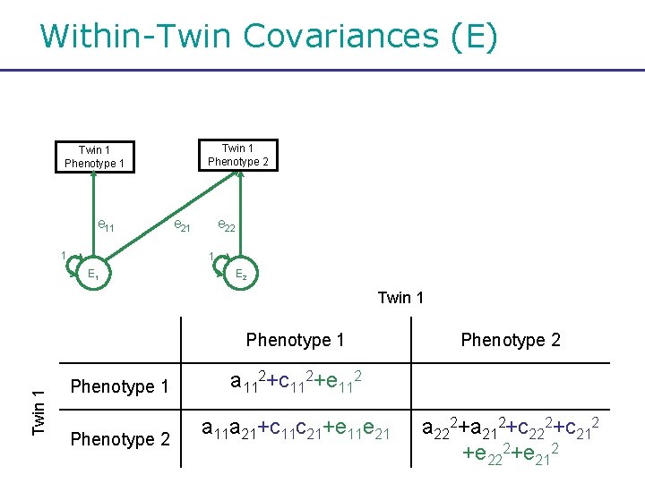 Within-Twin Covariances (E) Twin 1 Phenotype 2 Twin 1 Phenotype 1 e 11 1