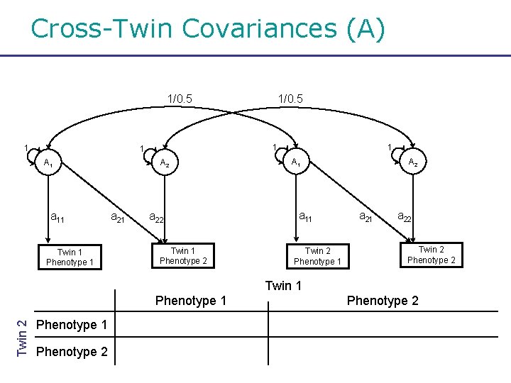 Cross-Twin Covariances (A) 1/0. 5 1 1 1 A 1 a 11 Twin 1