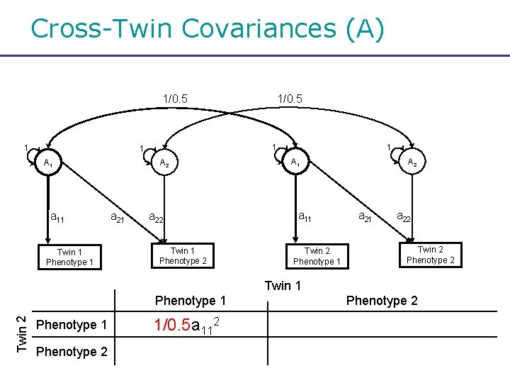 Cross-Twin Covariances (A) 1/0. 5 1 1 1 A 1 a 11 Twin 1