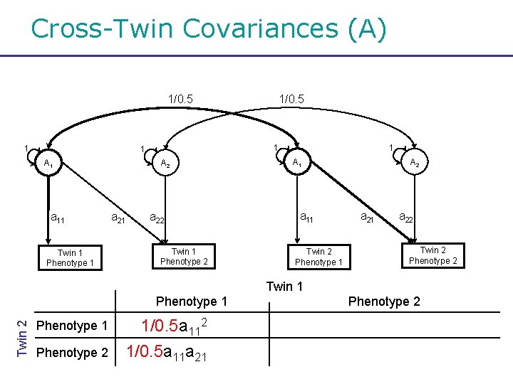 Cross-Twin Covariances (A) 1/0. 5 1 1 1 A 1 a 11 Twin 1