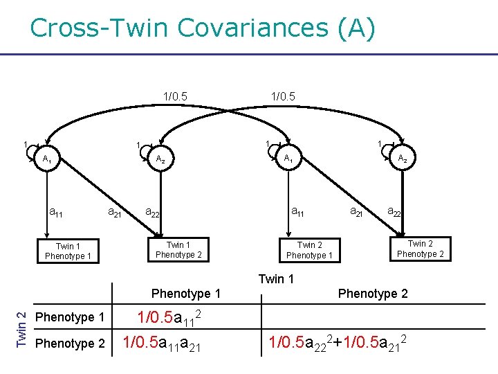 Cross-Twin Covariances (A) 1/0. 5 1 1 1 A 1 a 11 Twin 1