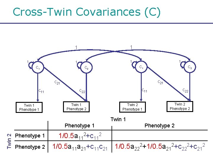 Cross-Twin Covariances (C) 1 C 1 1 1 C 1 C 2 c 21