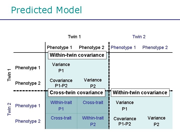 Predicted Model Twin 1 Phenotype 1 Twin 2 Phenotype 1 Phenotype 2 Twin 1