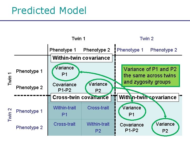 Predicted Model Twin 1 Phenotype 1 Twin 2 Phenotype 1 Phenotype 2 Twin 1