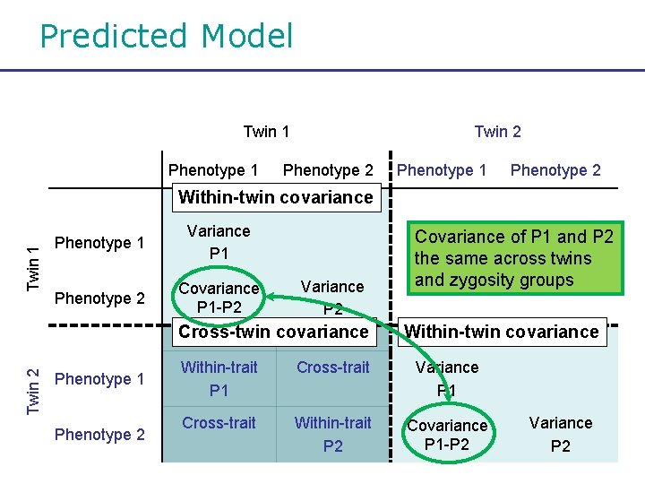 Predicted Model Twin 1 Phenotype 1 Twin 2 Phenotype 1 Phenotype 2 Twin 1