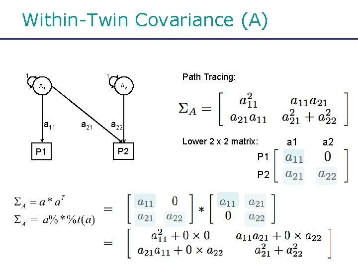 Within-Twin Covariance (A) 1 Path Tracing: 1 A 1 a 11 A 2 a