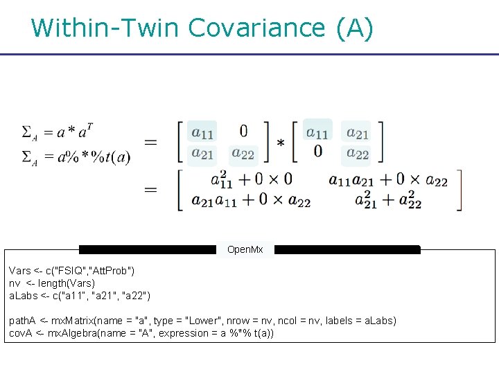 Within-Twin Covariance (A) Open. Mx Vars <- c("FSIQ", "Att. Prob") nv <- length(Vars) a.
