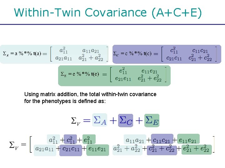 Within-Twin Covariance (A+C+E) Using matrix addition, the total within-twin covariance for the phenotypes is