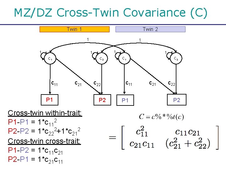 MZ/DZ Cross-Twin Covariance (C) Twin 1 Twin 2 1 1 1 C 1 c