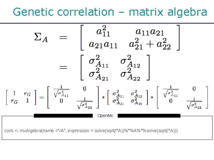 Genetic correlation – matrix algebra Open. Mx cor. A <- mx. Algebra(name ="r. A",